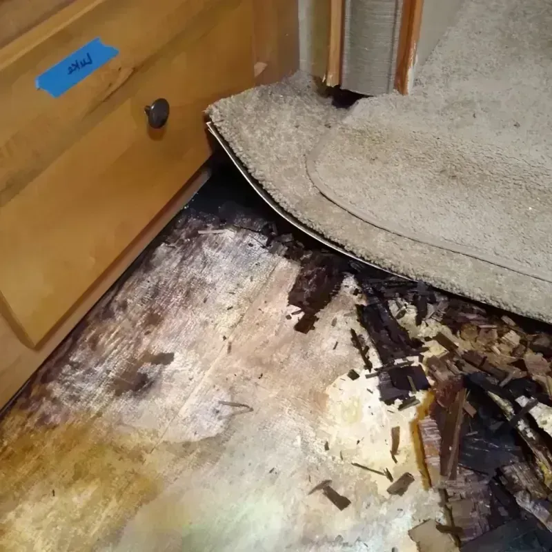 Wood Floor Water Damage in Piketon, OH